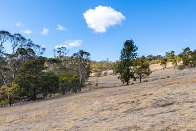 Property 27 Grahams Road, MOUNT RUMNEY TAS 7170 IMAGE 0