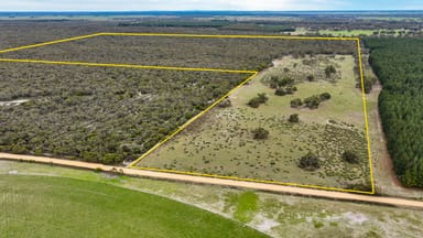 Property Lot 12 Ellisons Road, LUCINDALE SA 5272 IMAGE 0