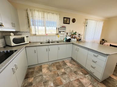 Property 7 Alabama St, Ashford NSW 2361 IMAGE 0