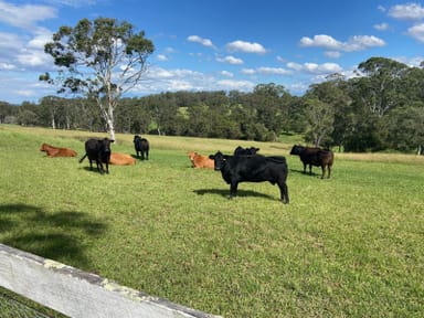 Property 72 Bells Lane, Kurmond NSW 2757 IMAGE 0