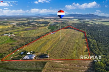 Property 67 East Dawson Road, MUTCHILBA QLD 4872 IMAGE 0