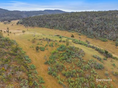 Property 5601 Tasman Highway, BUCKLAND TAS 7190 IMAGE 0