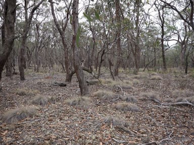 Property Lot One Grampians View Road, Beaufort VIC 3373 IMAGE 0