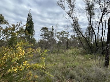 Property Lot 5 Pine Ridge Road, Condamine Farms QLD 4357 IMAGE 0