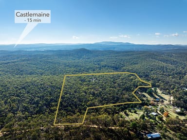 Property 26 Dingo Park Road, Chewton VIC 3451 IMAGE 0