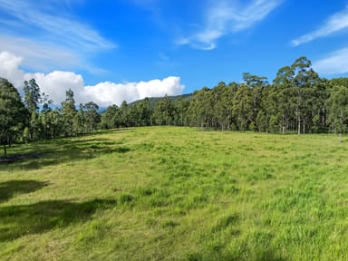 Property Lot 62-69 Duck Creek Road, Old Bonalbo NSW 2469 IMAGE 0