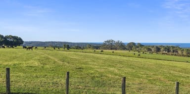 Property 165 Wallaby Hill Road, Jamberoo NSW 2533 IMAGE 0