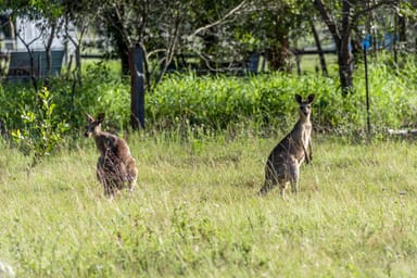 Property Proposed Lots on 64 Kent Parade - ALL UNDER CONTRACT, Torbanlea QLD 4662 IMAGE 0
