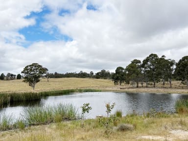 Property 254 Losebys Road, Big Hill NSW 2579 IMAGE 0