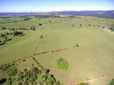 Property MILLAA MILLAA QLD 4886 IMAGE 0