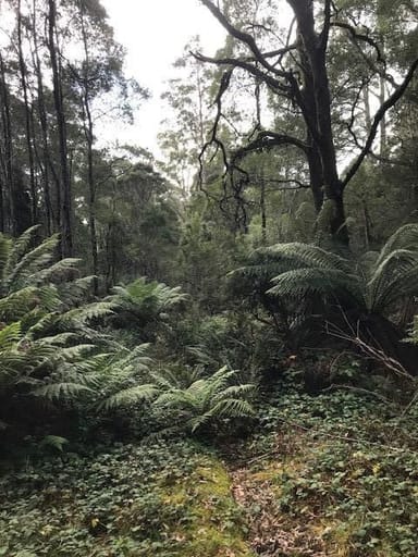 Property 2 Murchison Highway, ROSEBERY TAS 7470 IMAGE 0