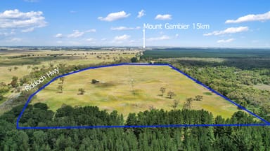 Property Lot 459 Riddoch Hwy, Dismal Swamp SA 5291 IMAGE 0