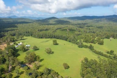 Property 876 SMITHS CREEK ROAD, KUNDABUNG NSW 2441 IMAGE 0