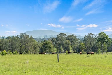 Property 581 Dyrring Road, Dyrring NSW 2330 IMAGE 0