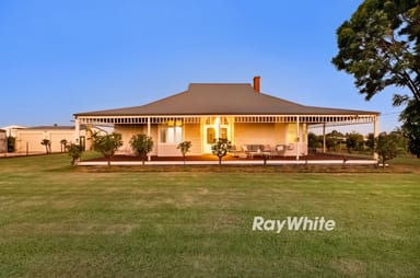 Property 258 River Avenue, Birdwoodton VIC 3505 IMAGE 0