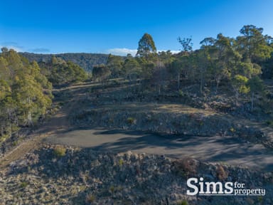 Property 101A Blackstone Road, BLACKSTONE HEIGHTS TAS 7250 IMAGE 0