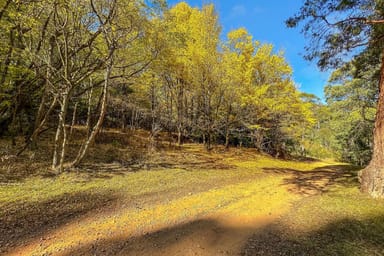 Property CA1/SEC 5 Buckland River Track, Buckland VIC 3740 IMAGE 0