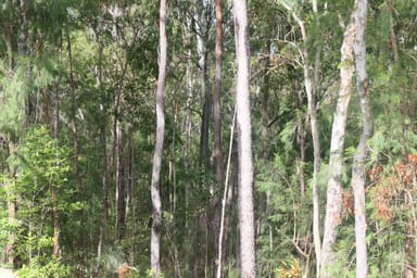 Property 81, 395 Bruxner Road, Drake NSW 2469 IMAGE 0