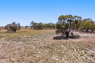 Property CA 168 Part 821 Barkly-Navarre Rd, Navarre VIC 3384 IMAGE 0