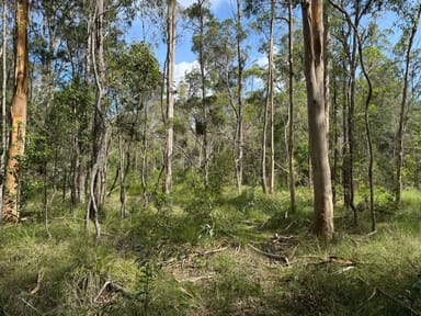 Property Lot 23 Eight Mile Lane, Glenugie NSW 2460 IMAGE 0