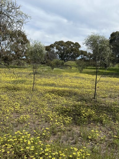 Property Lot 14438 & 14439 Yarramony Road, Jennacubbine WA 6401 IMAGE 0