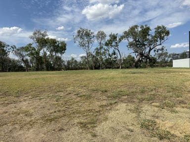 Property 13 Billabong Drive, GOONDIWINDI QLD 4390 IMAGE 0