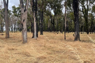 Property Lot 245 & Donnybrook-Boyup Brook Road, Glen Mervyn WA 6239 IMAGE 0