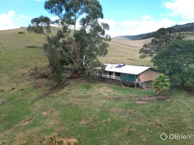 Property 1479 Gelantipy Road, Murrindal VIC 3885 IMAGE 0