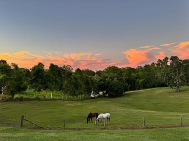 Property 24 Valley Vista Road, The Dawn QLD 4570 IMAGE 0