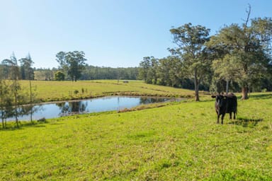 Property 74 Bril Bril Road, ROLLANDS PLAINS NSW 2441 IMAGE 0