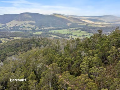 Property RA Off Williscroft Road, JUDBURY TAS 7109 IMAGE 0