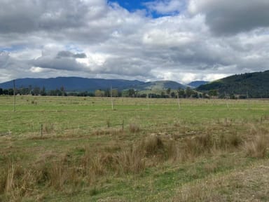 Property 36143 Tasman Highway, SPRINGFIELD TAS 7260 IMAGE 0