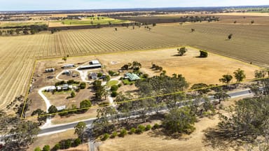 Property 377 Cannawigara Road, BORDERTOWN SA 5268 IMAGE 0