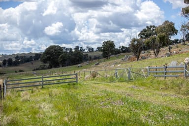 Property 1546 Baldersleigh Road, GUYRA NSW 2365 IMAGE 0