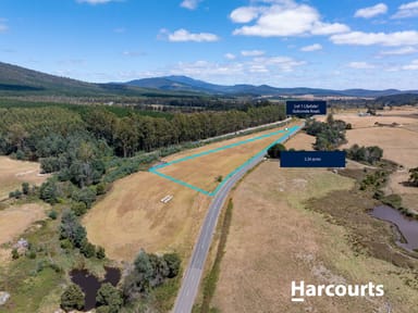 Property Lot 1 Golconda Road, BLUMONT TAS 7260 IMAGE 0