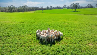 Property 1726 Howlong Burrumbuttock Road, Burrumbuttock NSW 2642 IMAGE 0