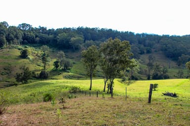 Property 2425 Pine Creek Road, BENTLEY NSW 2480 IMAGE 0