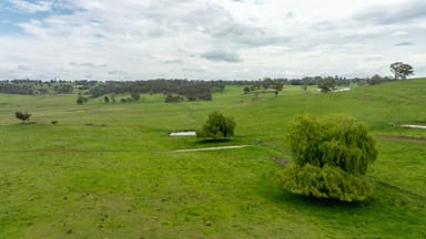 Property 75 Blush Road, GUYRA NSW 2365 IMAGE 0