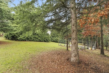 Property 29 Purcell Drive, MERRIJIG VIC 3723 IMAGE 0