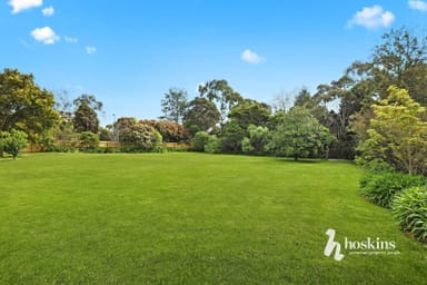 Property 3A Tania Place, Ringwood North VIC 3134 IMAGE 0