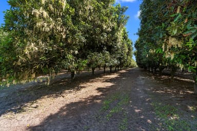 Property 32 Beerburrum Donnybrook Road, DONNYBROOK QLD 4510 IMAGE 0