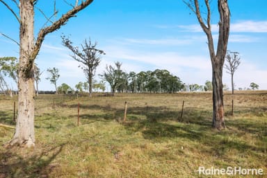 Property 'St Barbara' 480 Joadja Road, MANDEMAR NSW 2575 IMAGE 0
