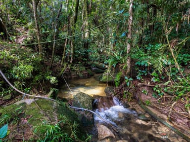 Property LOT 1 Bruce Highway, Fishery Falls QLD 4871 IMAGE 0