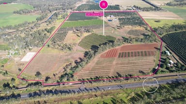 Property 130 Channel Road, WALKAMIN QLD 4872 IMAGE 0