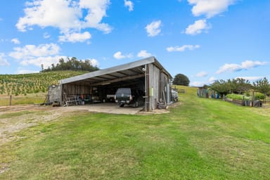 Property 663 Cheshunt Road, Western Creek TAS 7304 IMAGE 0