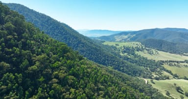 Property CA 9 Sec 20 Wonnangatta Road, Dargo VIC 3862 IMAGE 0