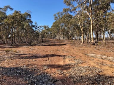 Property 1 Bendigo-Maryborough Road, SHELBOURNE VIC 3515 IMAGE 0