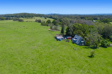 Property 385 Fernbank Creek Road, Fernbank Creek NSW 2444 IMAGE 0