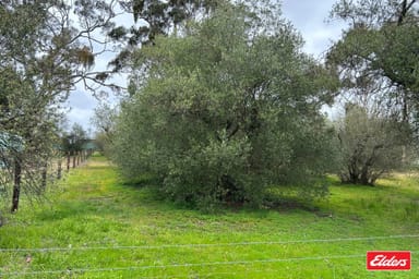 Property Lot 101 Church Street, Williamstown SA 5351 IMAGE 0