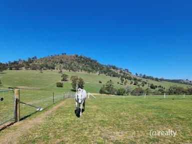 Property 628 Fingerpost Road, Orielton TAS 7172 IMAGE 0